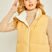 Reversible Vest